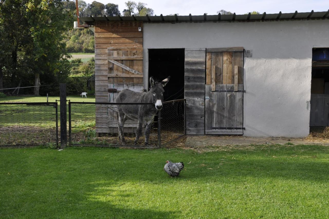 La Maison Du Bonheur "Le Gite" Saint-Ouen-sous-Bailly Exterior foto